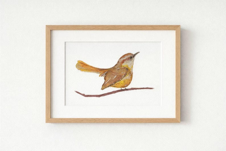 Carolina Wren Watercolor Print – Woodland Bird Art – Nature Wall Decor ...
