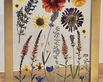 Pressed Wildflowers - Double Glass Gold Metal Frame