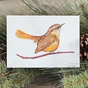Carolina Wren - Watercolor Print