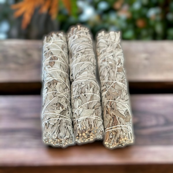 3 Pack White Sage Smudge Sticks 9 inch Grown in California with Smudging Guide | Choose Your Bundle