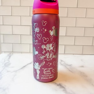 Magic Kingdom Owala - Mouse Owala - Vacation Owala - Fairy Owala - Custom Tumbler - Theme Park Tumbler