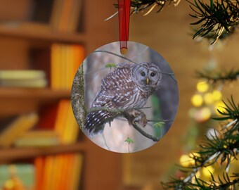 Adorno de búho, doble cara, decoración de vida silvestre