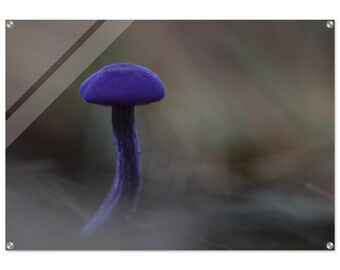 Arte de pared de setas púrpuras / naturaleza, impresión acrílica