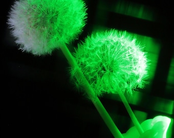 Ramo de flores campestres / Arte mural de naturaleza / Póster / Lámina enmarcada / Lienzo / Fotografía