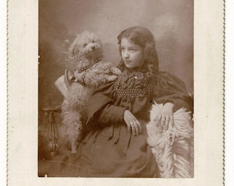 1896 Victorian Cabinet Card, Bess Palmer Girl with Poodle, Miller Studio Springfield Mass