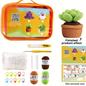Beginner Crochet Kit cactus succulent - Learn How To Crochet Kit - Easy Starter Crochet Kit - Amigurumi Kit - DIY Craft Kit Gift, craft gift