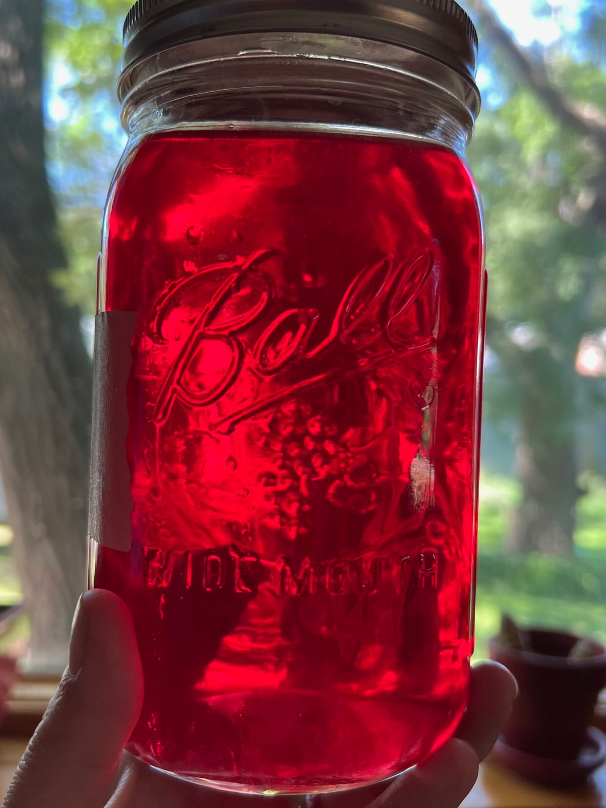 Nerve Pain St. John's Wort Salve Fibromyalgia Sciatica Etsy