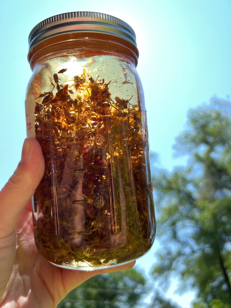 Nerve Pain St. John's Wort Salve Fibromyalgia Sciatica Etsy