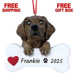 Personalized Chocolate Lab Christmas Ornament 2025, Custom Chocolate Labrador Retriever Dog with Bone Ornament for Christmas Tree