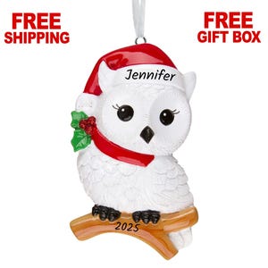 Personalized Owl Ornament 2025, Owl Christmas Ornament with Santa Hat, Xmas Tree Decoration, Custom Gift For Toddler & Kids