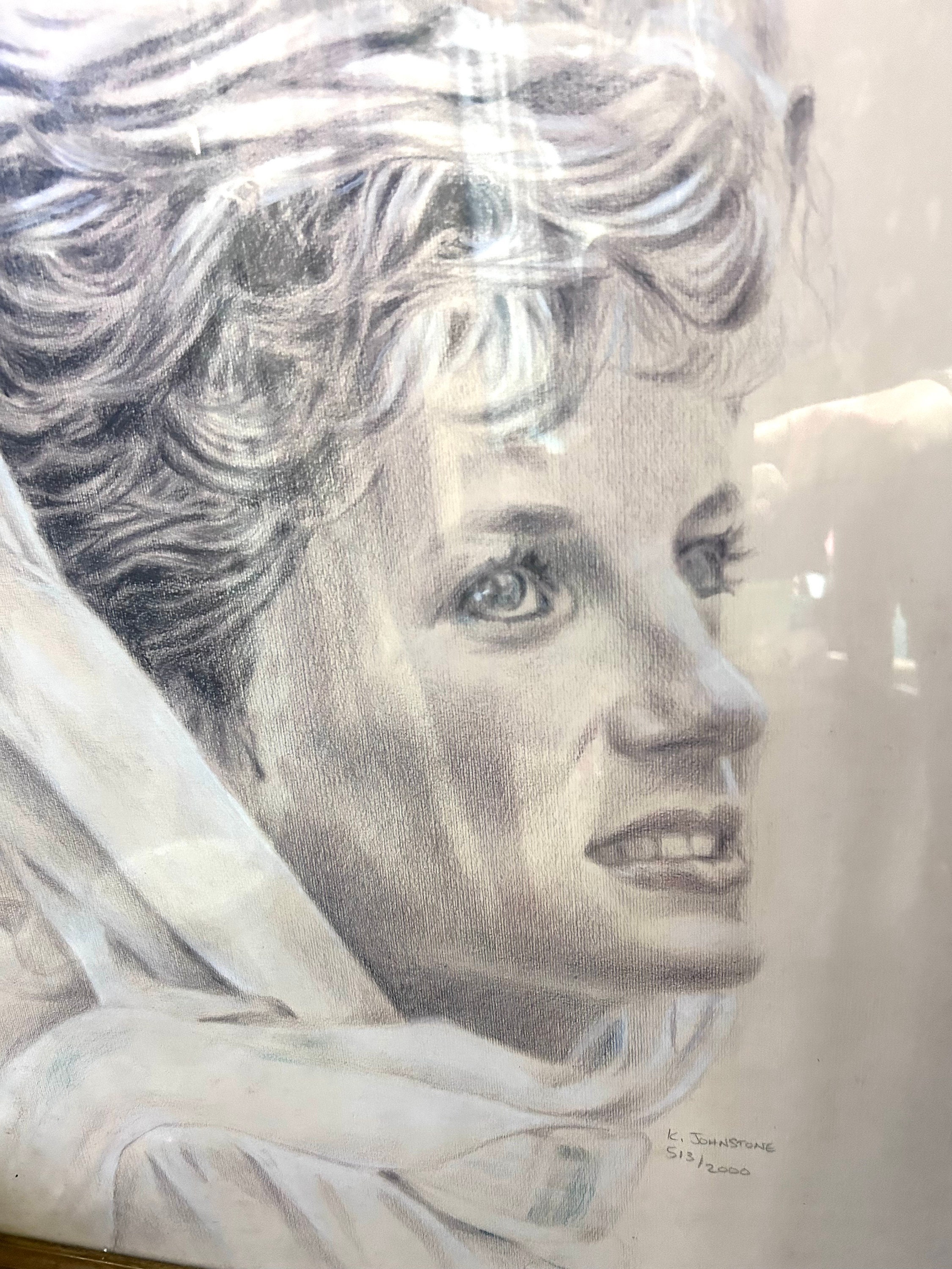 Limited Edition Princess Diana Portrait 513 of 2000 Produced