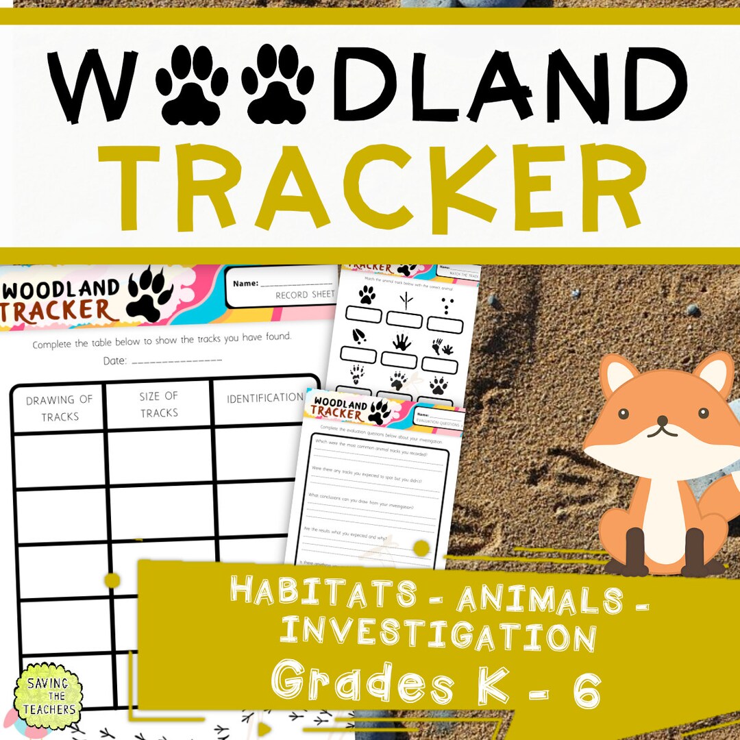 Woodland Tracker Science Investigation Habitats Animals Etsy