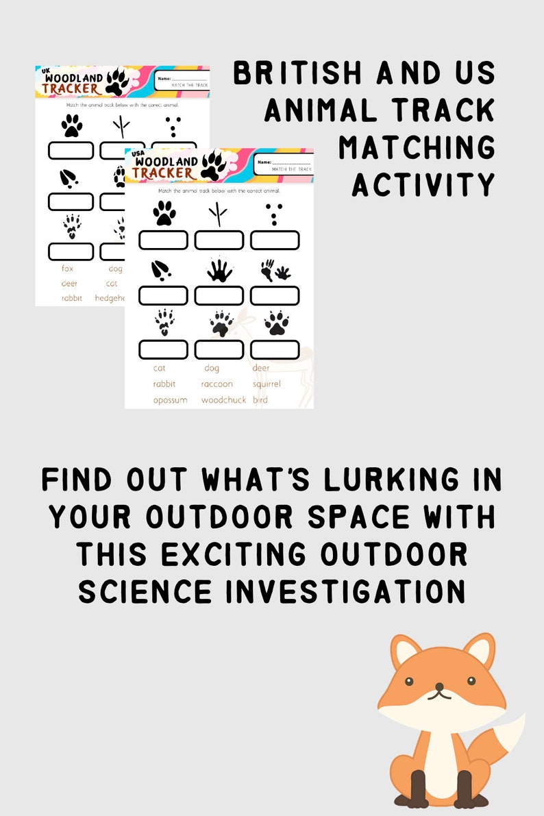 Woodland Tracker Science Investigation Habitats Animals - Etsy