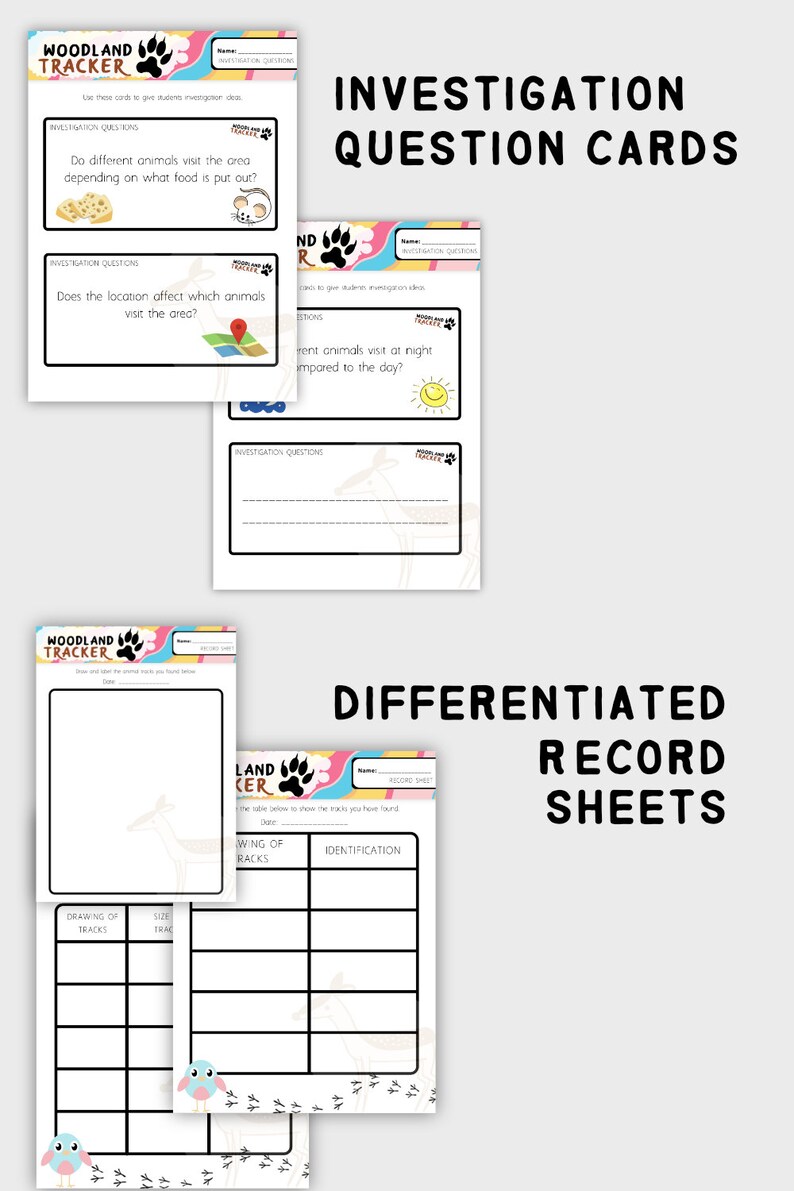 Woodland Tracker Science Investigation Habitats Animals - Etsy