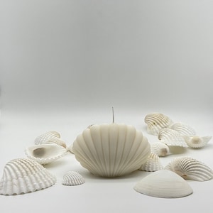 Könnte beinhalten: Eine weiße Kerze in Muschelform, umgeben von einer Gruppe weißer Muscheln auf einer weißen Oberfläche.