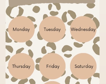 Cheap Aesthetic Weekly Planner