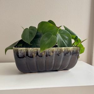 May include: A dark brown ceramic planter with a ribbed design, filled with lush green heart-shaped leaves. The planter has a textured, dripped glaze in shades of brown and green. The plant is a vibrant houseplant.