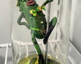Puede incluir: Una caprichosa figura de pepinillo hecha a mano en un tarro de cristal, posando en una barra plateada. El pepinillo está adornado con una peluca, maquillaje y accesorios. El tarro contiene líquido verde y está sobre una estantería blanca.