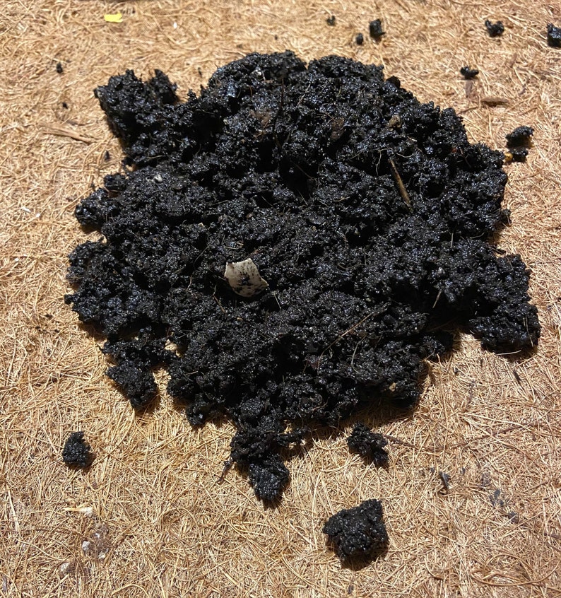 Worm Casting Tea Bag Etsy