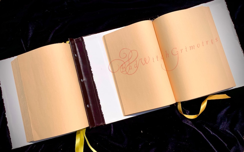 Practical Magic Replica Book of Shadows POSTBOUND FRONT & BACK Witches ...