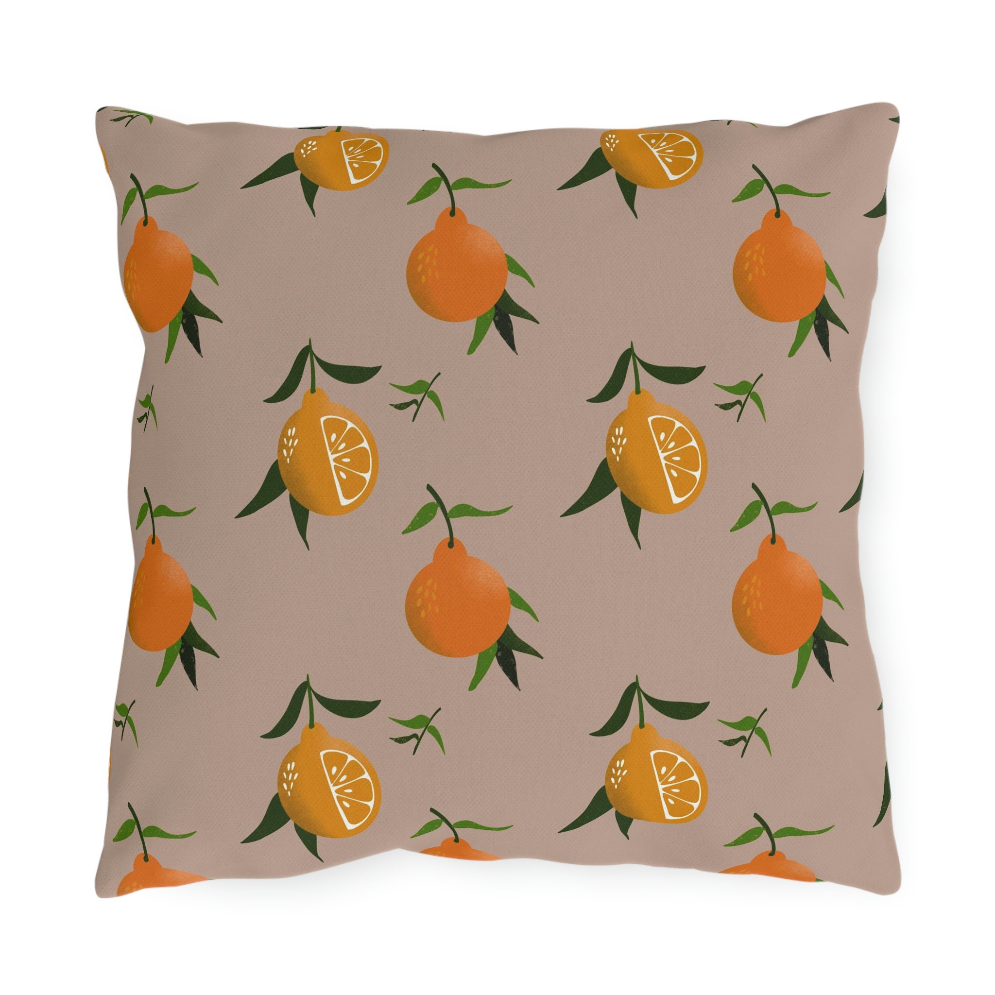 Citrus Toddy© 22 inch Square Outdoor Pillow Set of 2 main image 1