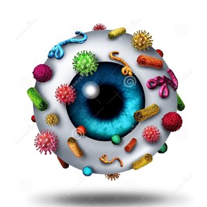 Vet Path 2: Ocular Pathology