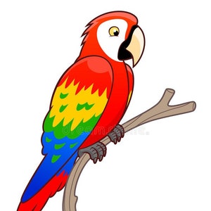 Avian and Exotics Block 1 Material
