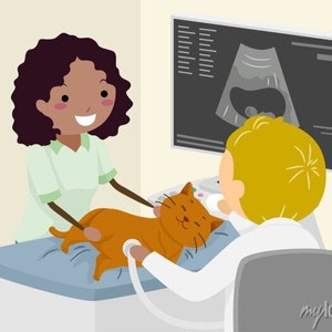 DI: Imaging cardiovascolare