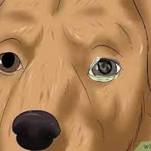Systems: Corneal Ulcers