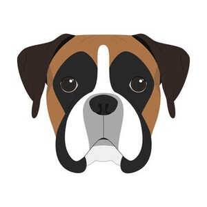 Systems: Canine Corneal Ulcers