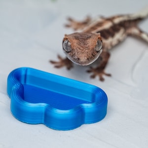 May include: A small, blue, cloud-shaped water dish for a reptile. The dish is made of plastic and has a smooth, glossy finish.