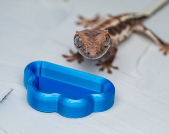 Amari Cloud Hatchling Feeding Bowl