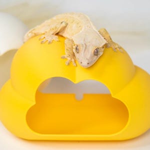 Cloud Hide voor reptielen en amfibieën