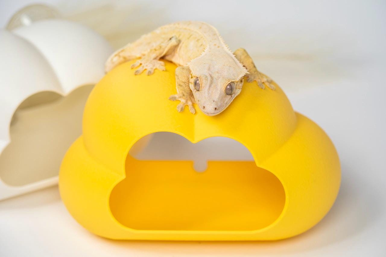 Cloud Hide for Reptile & Amphibian Species