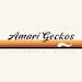 Amari Geckos