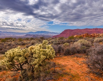 Red Mountain Desert View / Fine Art Photographic Print