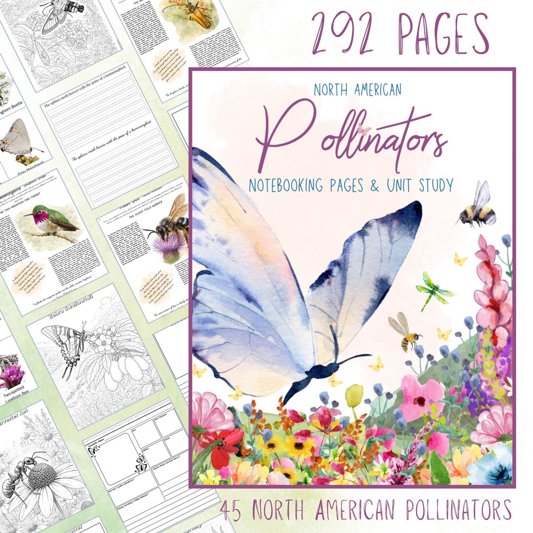 US Pollinators Unit Study: Homeschool Science Nature Journal Study ...