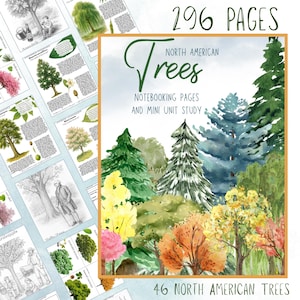 May include: A watercolor illustration of various North American trees, with a title that reads "North American Trees." The image is a notebooking pages and mini unit study, with 296 pages and 46 North American trees.