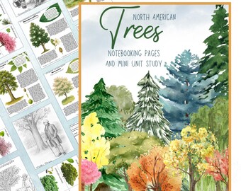 North American Trees Homeschool Unit Study:  Open and Go Nature Study Coloring, Flashcards, and Copywork