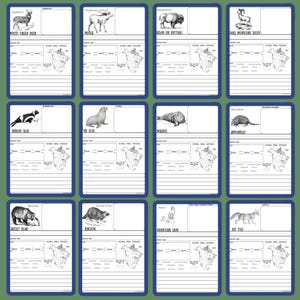 The Burgess Animal Book Notebooking Journal: Ambleside Homeschool Unit Study with Flashcards, Coloring Pages, Worksheets image 5