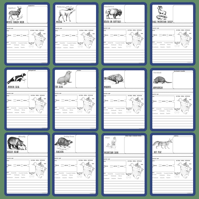 The Burgess Animal Book Notebooking Journal: Ambleside Homeschool Unit Study with Flashcards, Coloring Pages, Worksheets image 5