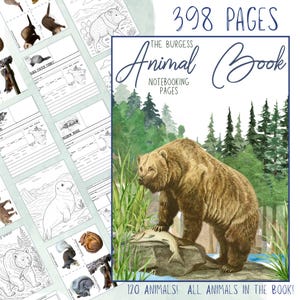 The Burgess Animal Book Notebooking Journal:  Ambleside Homeschool Unit Study with Flashcards, Coloring Pages, Worksheets