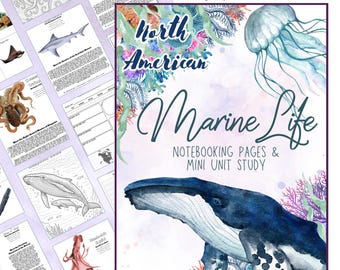 Mariene Biologie Unit Study en Homeschool Ocean Life Notitieboek met flashcards, kleurplaten en kopieerwerk