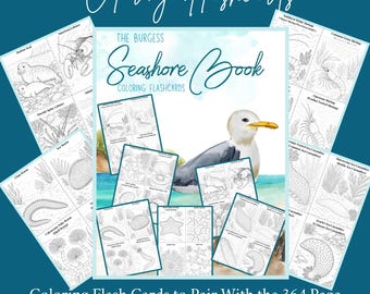 The Burgess Seashore Book Flashcards om in te kleuren: Ambleside Homeschool Mariene Biologie Praktijkeenheidsstudie Activiteit