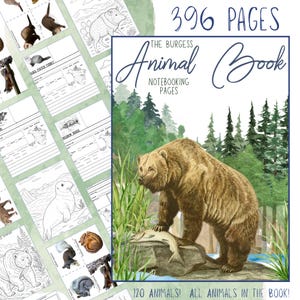 HUGE The Burgess Animal Book Notebooking Journal 396 Pages Printable PDF Homeschool Zoology Coloring Ambleside Online Nature Unit Study