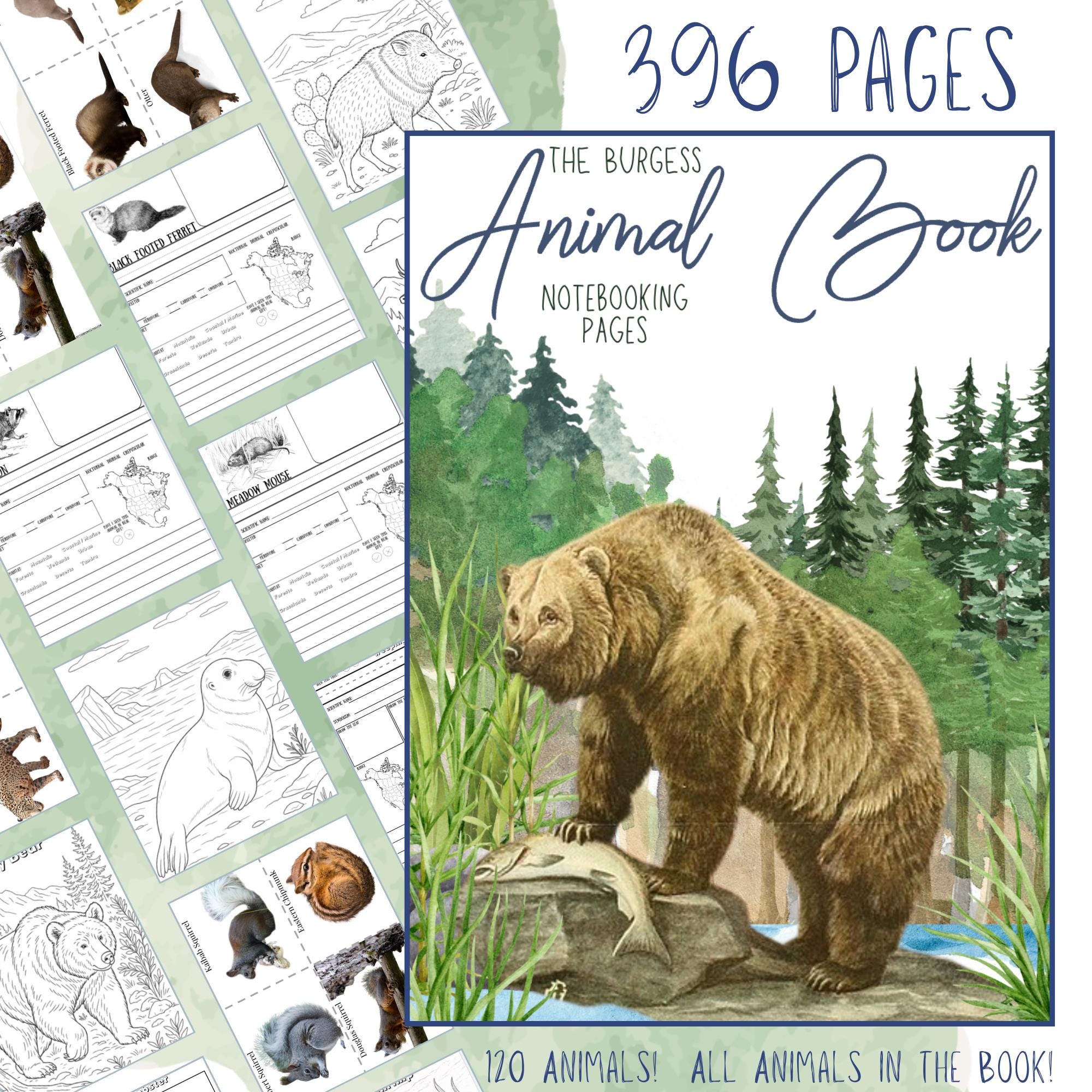 HUGE The Burgess Animal Book Notebooking Journal 396 Pages Printable PDF Homeschool Zoology Coloring Ambleside Online Nature Unit Study
