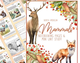 HUGE Mammals of North America Notebooking Pack 248 Pages Homeschool Nature Journal Animal Zoology Unit Study Curriculum Coloring Flashcards