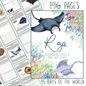Può includere: Un'illustrazione colorata di razze, un tipo di pesce, con barriere coralline sullo sfondo. Il testo "Rays" è in grandi lettere bianche con contorno nero. Il testo "Notebooking Pages & Mini Unit Study" è in lettere bianche più piccole con contorno nero. Il testo "35 Rays of the World" è in lettere bianche con contorno nero. Il testo "196 Pages" è in lettere bianche con contorno nero.