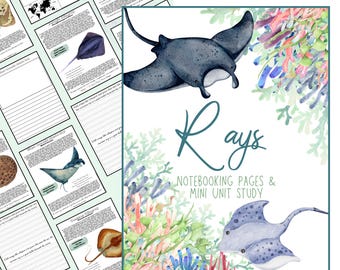 Ocean Rays Homeschool Unit Study: pijlstaartroggen noteren natuurdagboek met werkbladen, flashcards en kopieerwerk