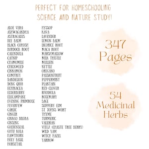 Medicinal Herbs Unit Study Homeschool | Herbalism Botany Curriculum | Herb Study Notebooking, Coloring, Copywork & Flashcards image 7